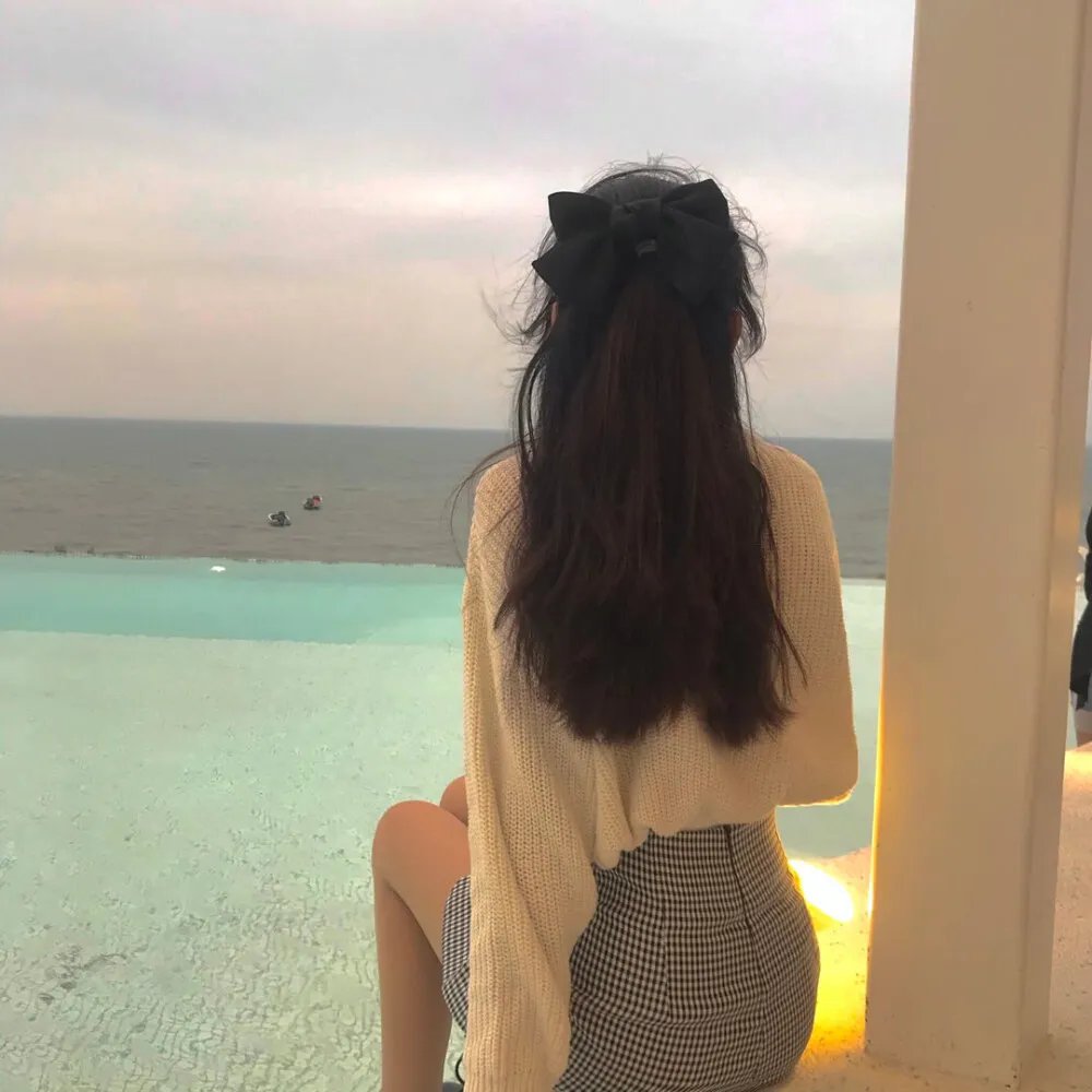 一条狗的使命