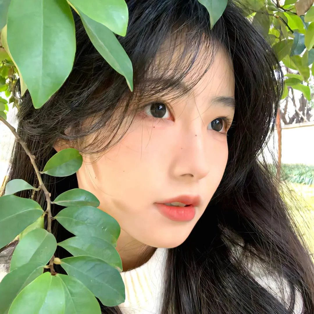 伟大的中国蚕豆